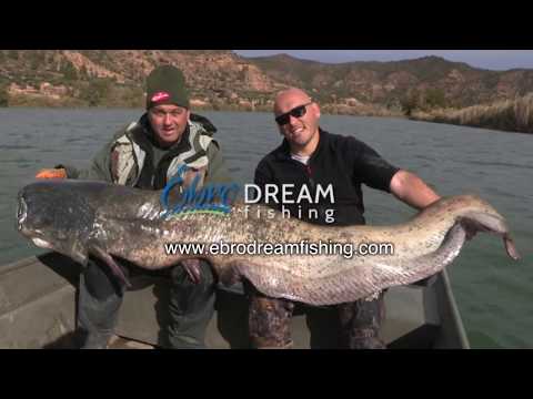 Ebro Dream Fishing SPOT