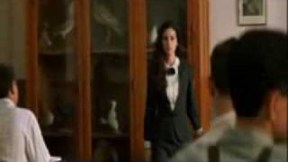 Moscas Aulladoras, Perros Silenciosos. LOS BURROS.