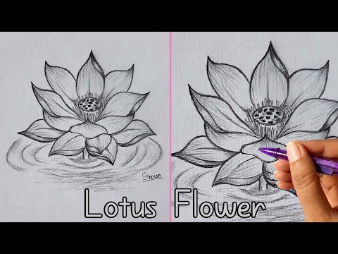 How to Draw Lotus Flower / Pencil Sketch