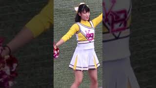國學院大學 チアリーダー 東都大学野球