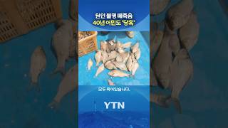 그물 끌어올리자 '충격' #shorts / YTN