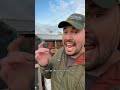 I became best friends with a crow