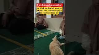 Download lagu MAKA JARIMU DENGAN IKHLAS KETIK AAMIIN 🤲 ucapan adalah doa #sholawat#doa#anaksholehah #penarikrezeki mp3