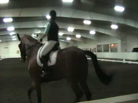 Dressage Freestyle with the Beatles.MOD