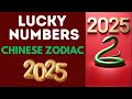Discover Your Lucky Numbers For 2025 Chinese Zodiac Edition