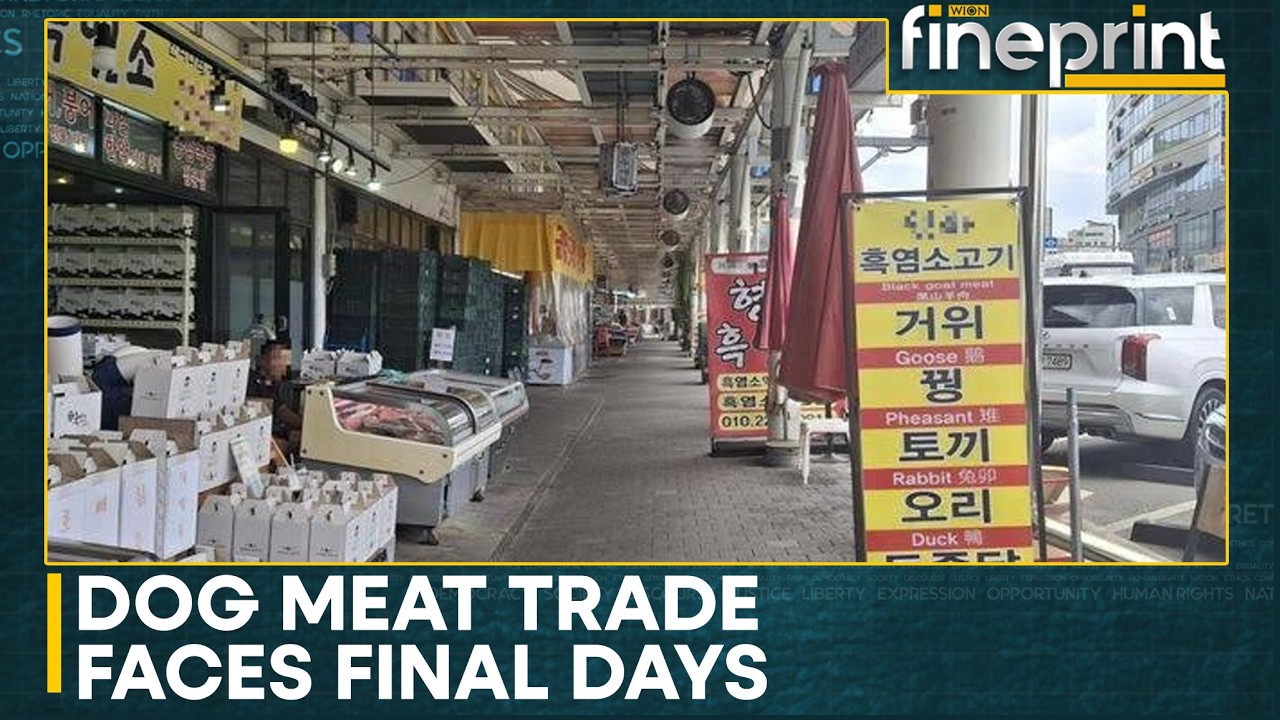 Business Declines in Moran Market Once a Major Dog Meat Hub | WION Fineprint