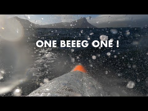 SURFSKI: DUNKS of the DAY !