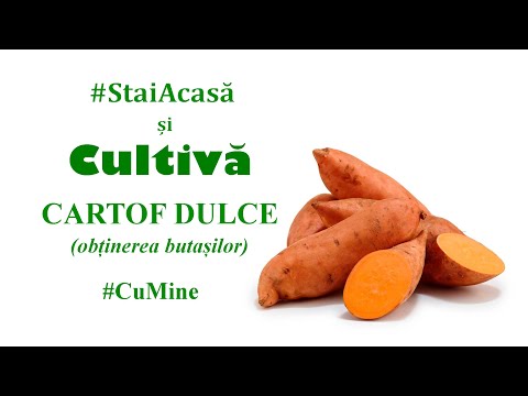 , title : '#StaiAcasă și cultivă cartof dulce #CuMine - Obținerea butașilor'
