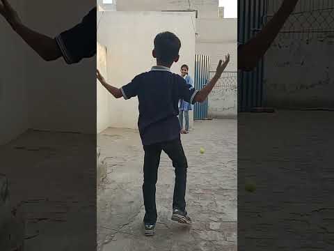 Fmza house cricket fun! check now and subscribe & like!