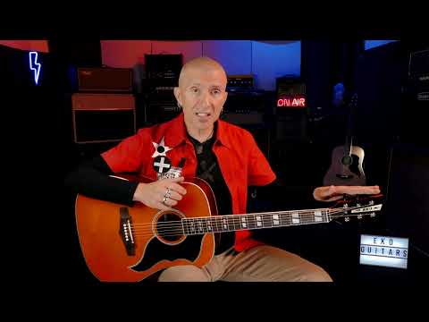 EKO Ranger XII VR EQ Honey Burst