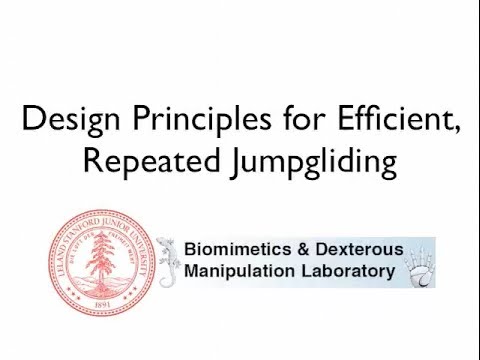 Design principles for efficient, repeated jumpgliding