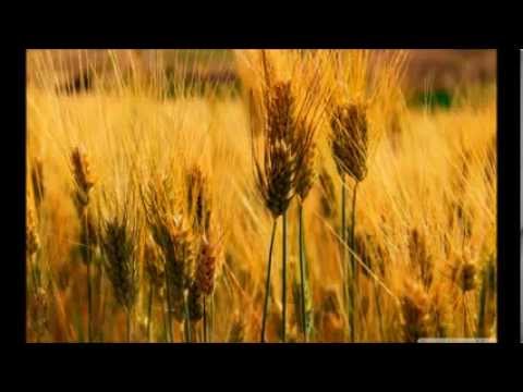 FS Zamutovčan - Ňeorem, nešejem