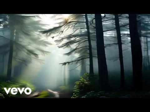 Fleeting Shadows - A daybreak stroll by birch lane (Official Music Video)