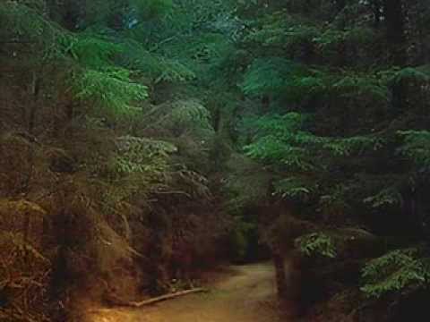 Smereko... wykonanie zespół Prymaki