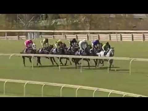 2014 04 26 Gerald Rosenberg Stakes - Cherry On The Top