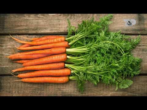 Select, 18 Korrik 2017, Pjesa 2 - Top Channel Albania - Entertainment Show