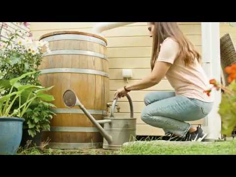 Skörda regnvattnet!