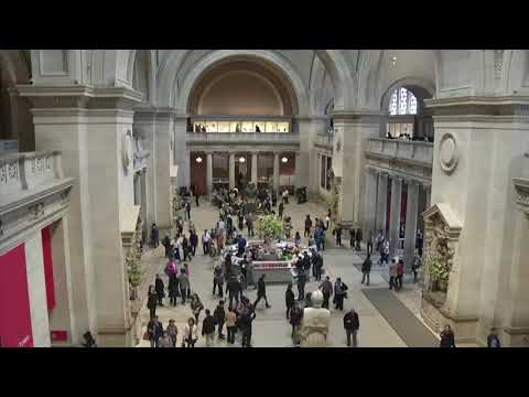 Met Museum Admissions Fee