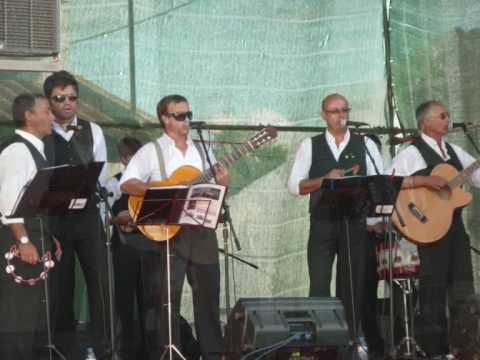 Campos do Alentejo - Os lírios são lírios