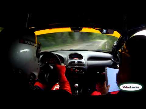 Rally di Cremona 2014 Cameracar - Canu M. - Piras C. - PS9 Peugeot 206 A7