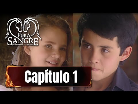 (Luis Silva) Pura Sangre - Tv Y Novelas 8