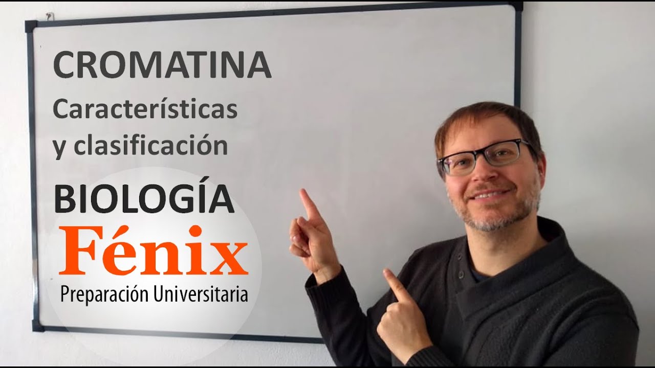 Cromatina: Características y Clasificación