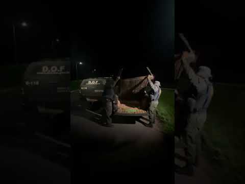 PMs do DOF  apreenderam em Paranhos, 106 quilos de maconha que eram transportados em Fiat Strada