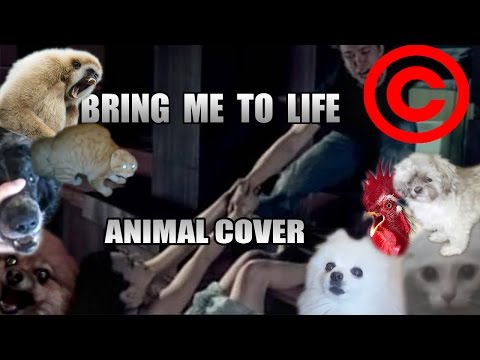 Damien Save Me video thumbnail