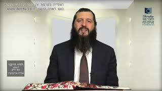 הדף היומי ירושלמי מסכת שביעית דף נה