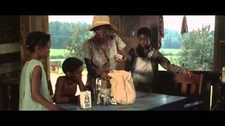 THE SOUNDER MOVIE 1972 & AFRICAN AMERICAN AIN'T AFRICA