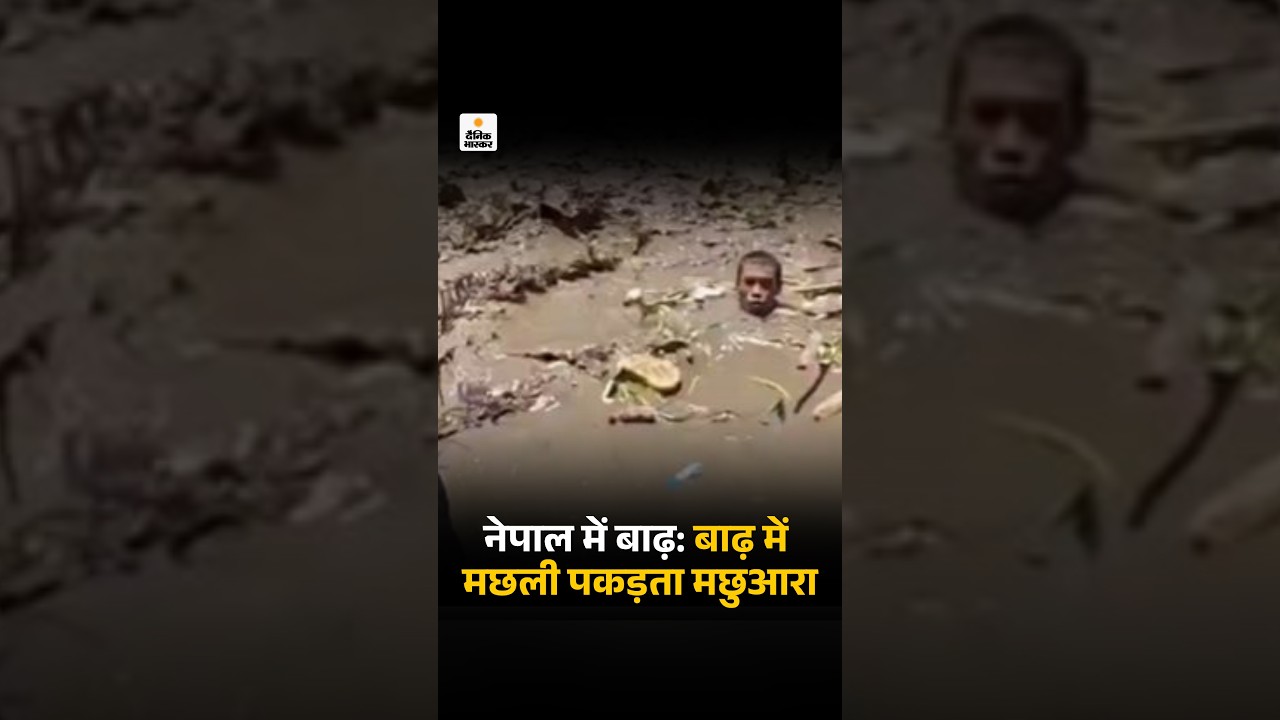 Nepal Flood Video: नेपाल में बाढ़:बाढ़ में मछली पकड़ता मछुआरा | Viral Video |  Fisherman Catching Fish