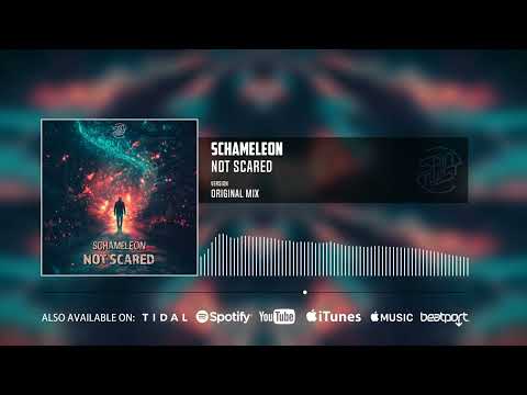 Schameleon - Not Scared (Official Audio)