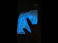 Phosphorescent Glow in the da. | Video