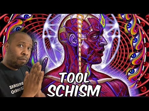 First Time Hearing | Tool - Schism Reaction