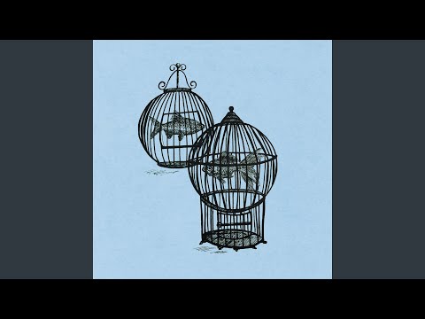 Rule #7 - Angel Tango