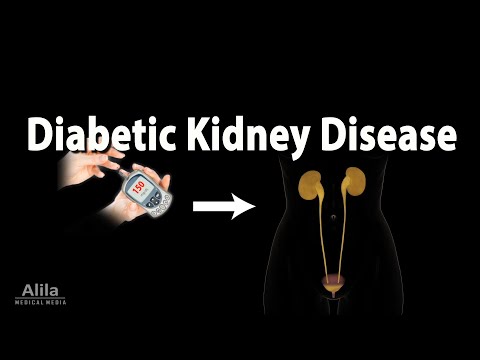 Kidney Homeostatic Functions Animation