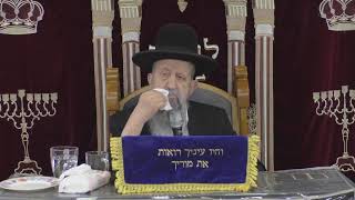 הרב בן ציון מוצפי • סודאי שידור חי (הרב בן ציון מוצפי) - התמונה מוצגת ישירות מתוך אתר האינטרנט יוטיוב. זכויות היוצרים בתמונה שייכות ליוצרה. קישור קרדיט למקור התוכן נמצא בתוך דף הסרטון