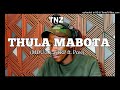 Thula Mabota (Mdu a.k.a TRP ft. Pcee)
