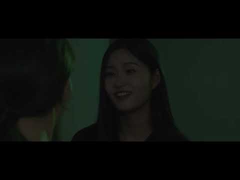 비디오 6