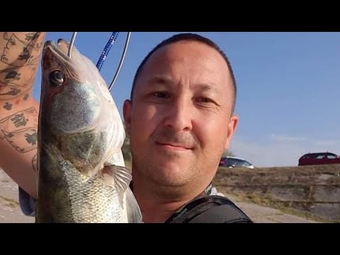 "GDE SE KRIJE SMUĐ? 🤔 Sve o navikama i ishrani (Škola ribolova za POCETNIKE!🎣👍