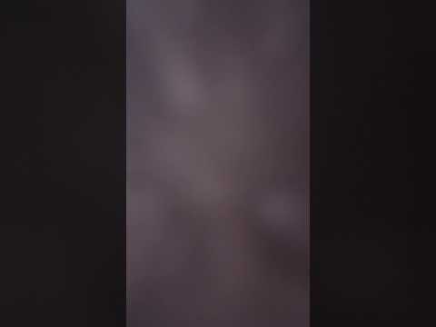 1 de novembro de 2025