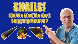 SNAIL SHIPPING! Our tests to find the BEST way to ship you SNAILS!