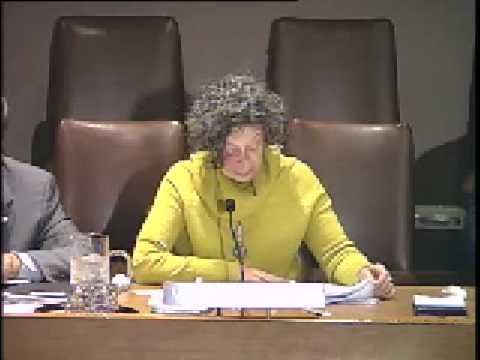 Languages Matter: Moderator/Dr. Mary Louise Pratt (English)