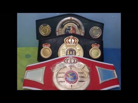 RETROSPECTIVA 2015 OFICIAL Roger Guerreiro