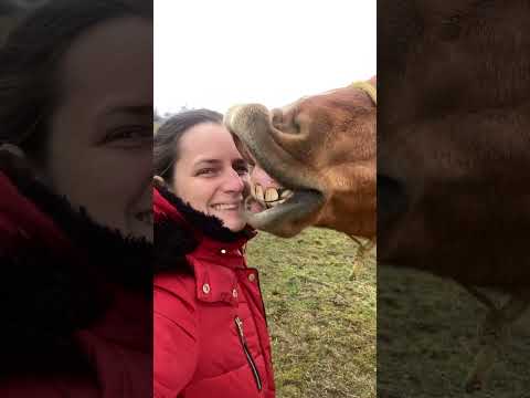 4,5 minuty absolutní pohody🙏🤩🐎