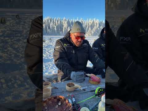 Ich esse Surströmming in Lappland! #surstromming