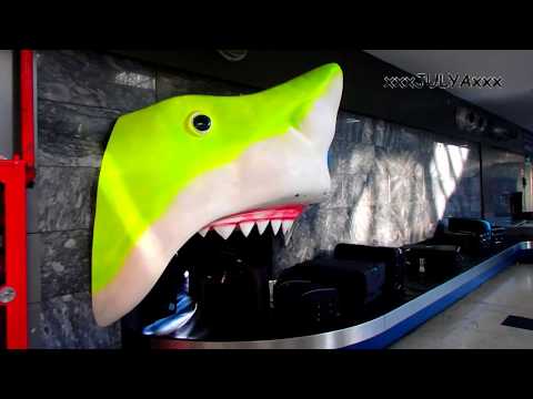 Sharks at the airport (Turkey, Antalya) - Акулы в аэропорту (Турция, Анталия)