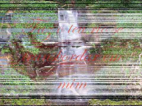 O Clamor da Terra Seca.wmv