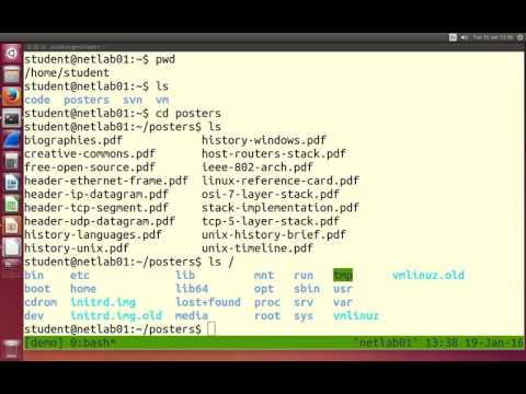 Linux Command Line: Directory Operations (1 of 8)