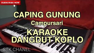 Download lagu CAPING GUNUNG - KARAOKE DANGDUT KOPLO mp3